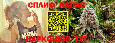 дмт Можайск