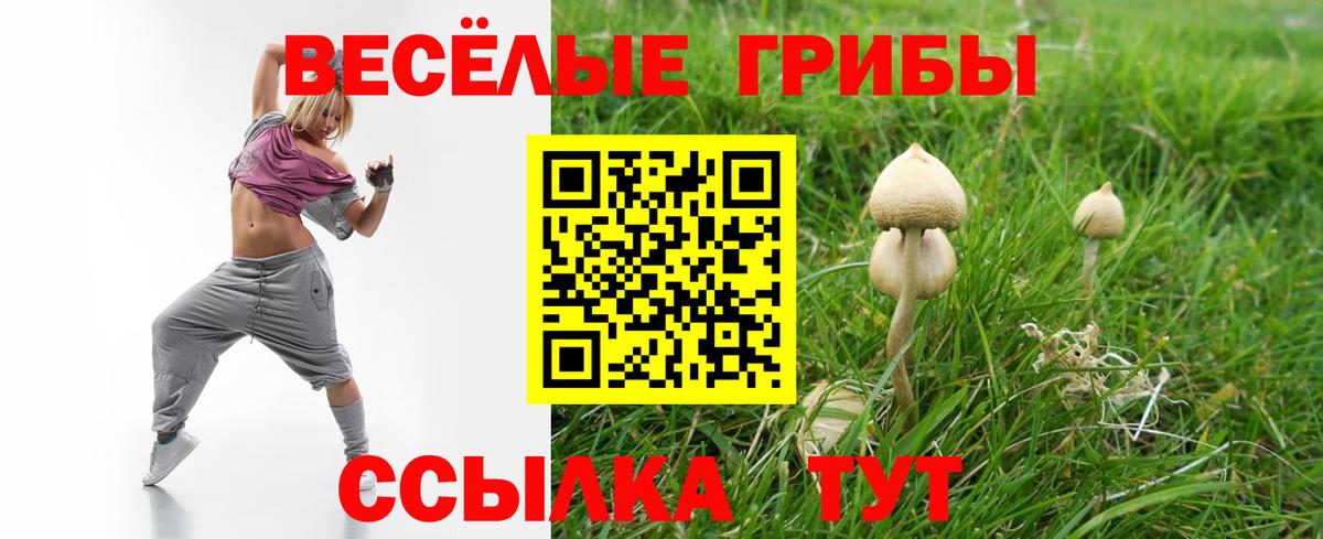 Новосибирск  Псилоцибиновые грибы мухоморы  Вход с VPN 